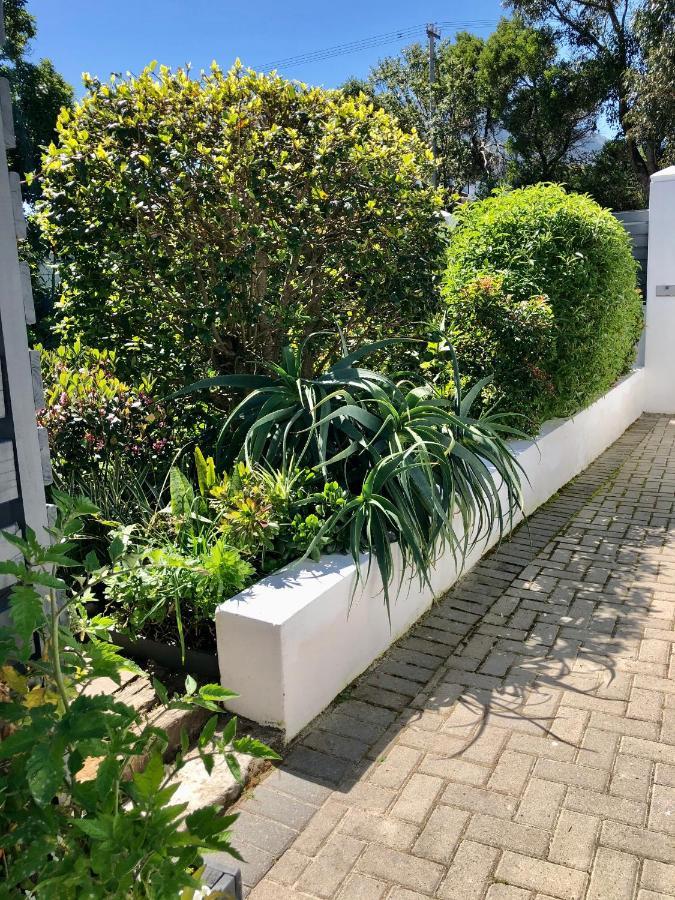 Studio On Albert, Hout Bay Exterior photo